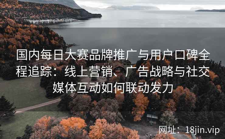 国内每日大赛品牌推广与用户口碑全程追踪：线上营销、广告战略与社交媒体互动如何联动发力