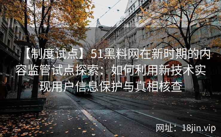 【制度试点】51黑料网在新时期的内容监管试点探索：如何利用新技术实现用户信息保护与真相核查