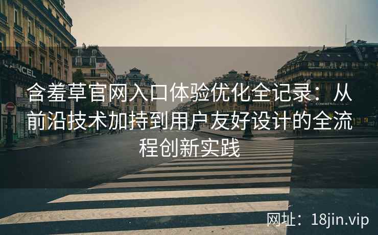 含羞草官网入口体验优化全记录：从前沿技术加持到用户友好设计的全流程创新实践