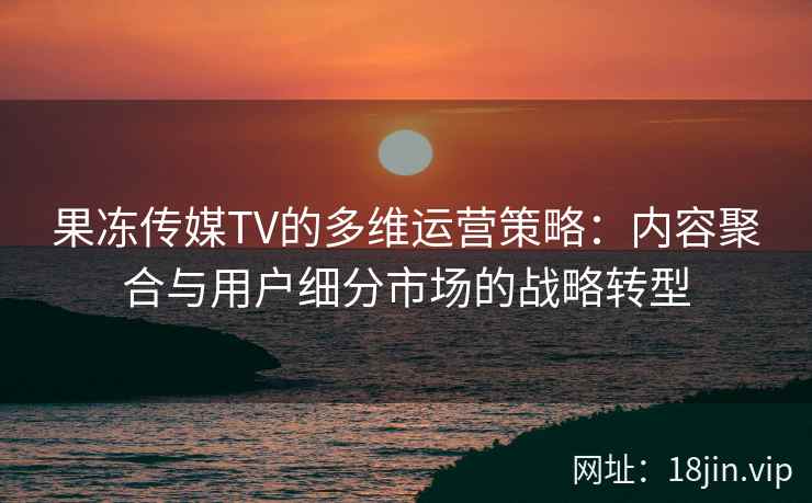 果冻传媒TV的多维运营策略：内容聚合与用户细分市场的战略转型