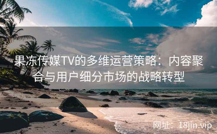 果冻传媒TV的多维运营策略：内容聚合与用户细分市场的战略转型