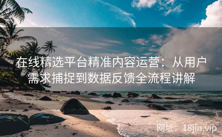 在线精选平台精准内容运营：从用户需求捕捉到数据反馈全流程讲解