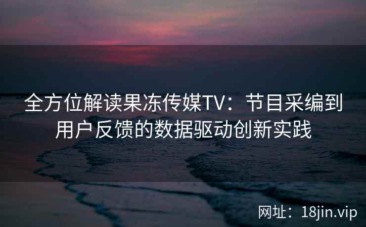 全方位解读果冻传媒TV：节目采编到用户反馈的数据驱动创新实践
