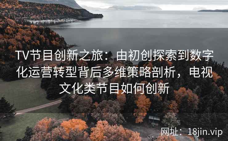 TV节目创新之旅：由初创探索到数字化运营转型背后多维策略剖析，电视文化类节目如何创新