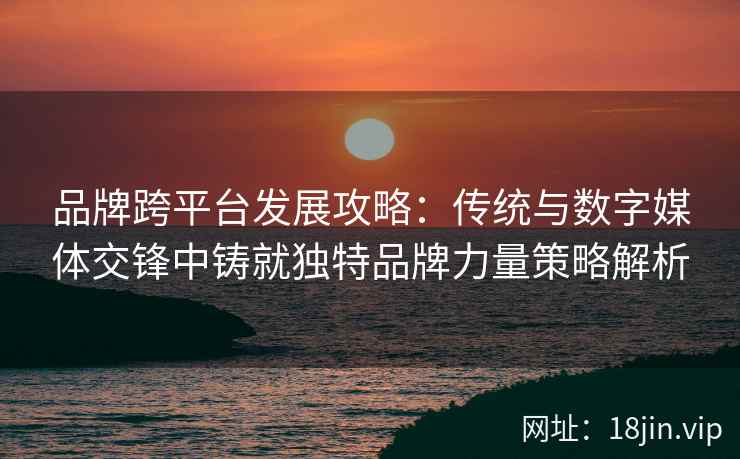 品牌跨平台发展攻略：传统与数字媒体交锋中铸就独特品牌力量策略解析