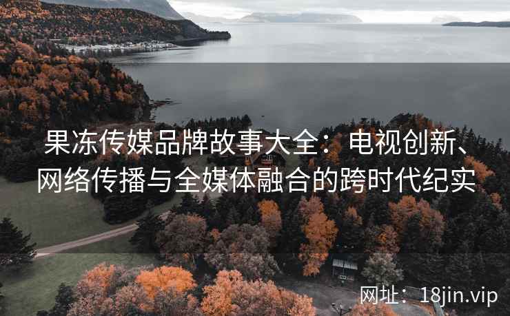 果冻传媒品牌故事大全：电视创新、网络传播与全媒体融合的跨时代纪实